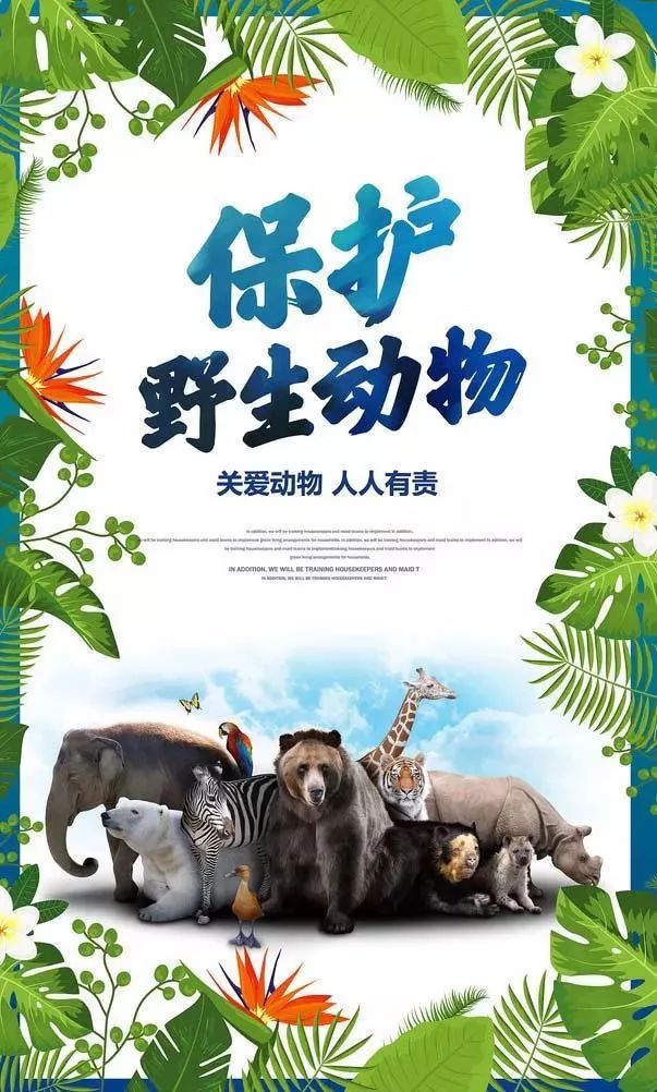 1581047287535202.jpg 1581047287535202.jpg